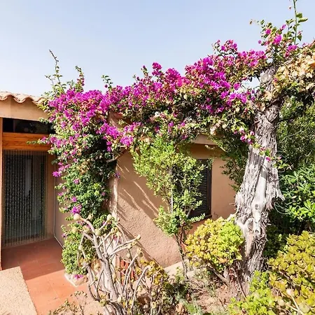 Holiday home Relax Vista Mare In Moderna Con Ampio Giardino In Costa Paradiso